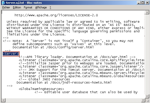 Fichier server.xml. Mise en surbrillance du champ <serveur>