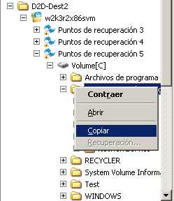 Vista de D2D de la restauración - Restauración de archivo/carpeta