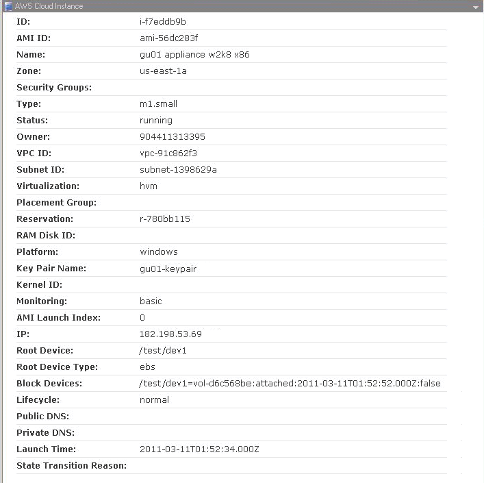 Example of the AWS Cloud Instance Tab