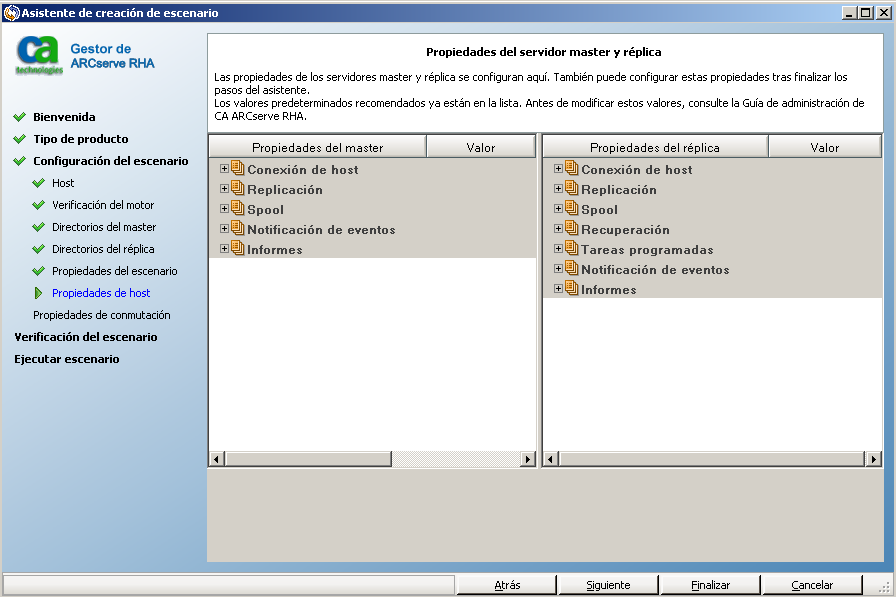 Las propiedades del réplica y del master sólo se aplican a los servidores host.
