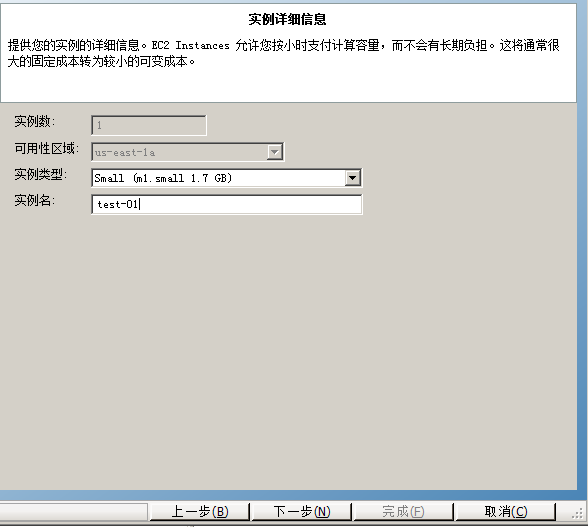 提供想使用的 EC2 实例的详细信息