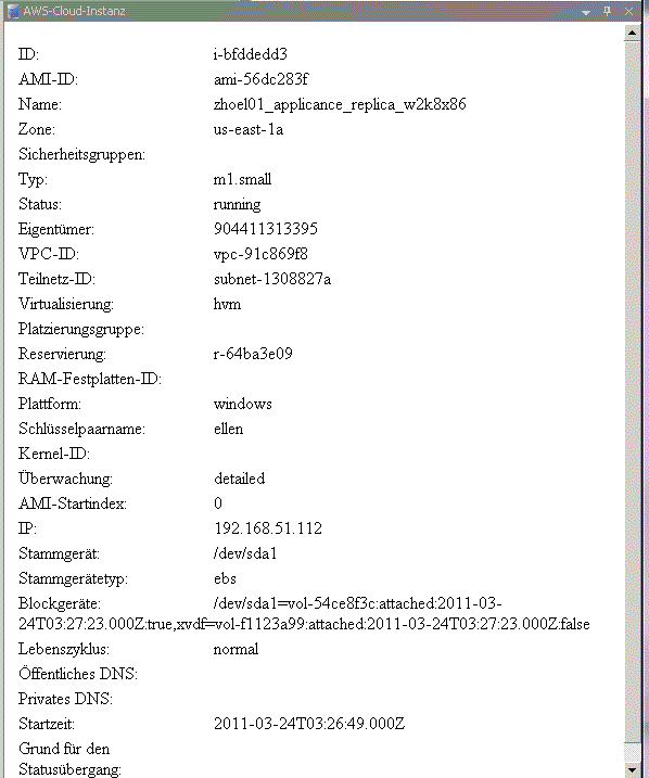 Beispiel für die Registerkarte "AWS-Cloud-Instanz"
