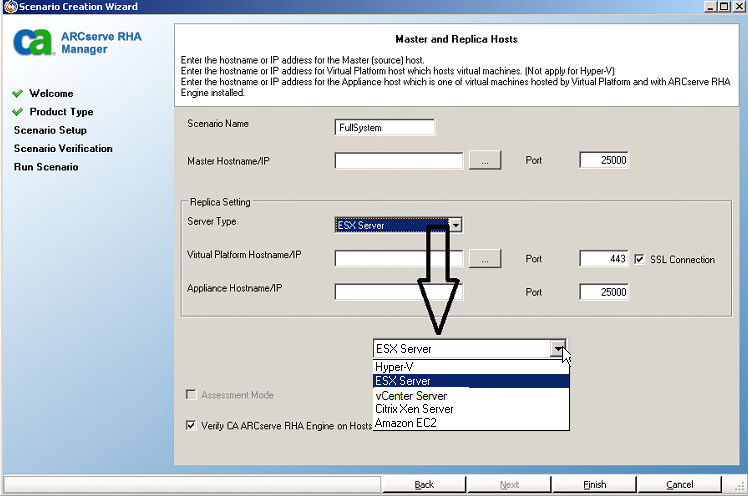 Server Type showing ESX selected