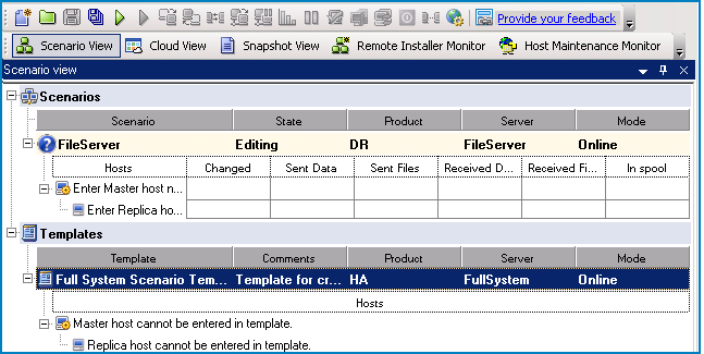 Template in the Scenario View