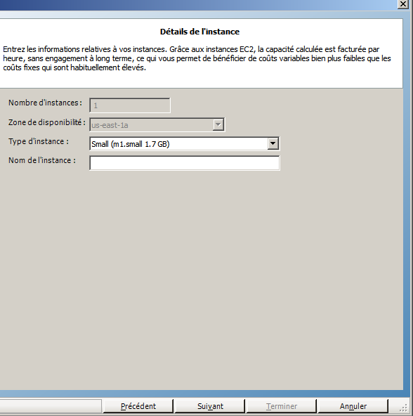 Saisie des informations relatives à l'instance EC2 à utiliser