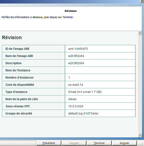 Vérification de vos sélections dans l'assistant de création d'instances