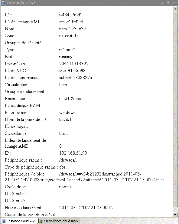 Exemple de l'onglet Instance cloud AWS