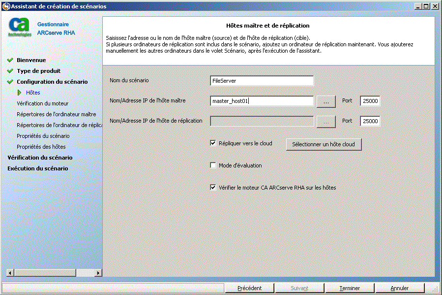 Pour spécifier une instance de réplication EC2 pour la réplication de données, sélectionnez la case à cocher Répliquer vers le cloud et cliquez sur le bouton Sélectionner un hôte cloud.