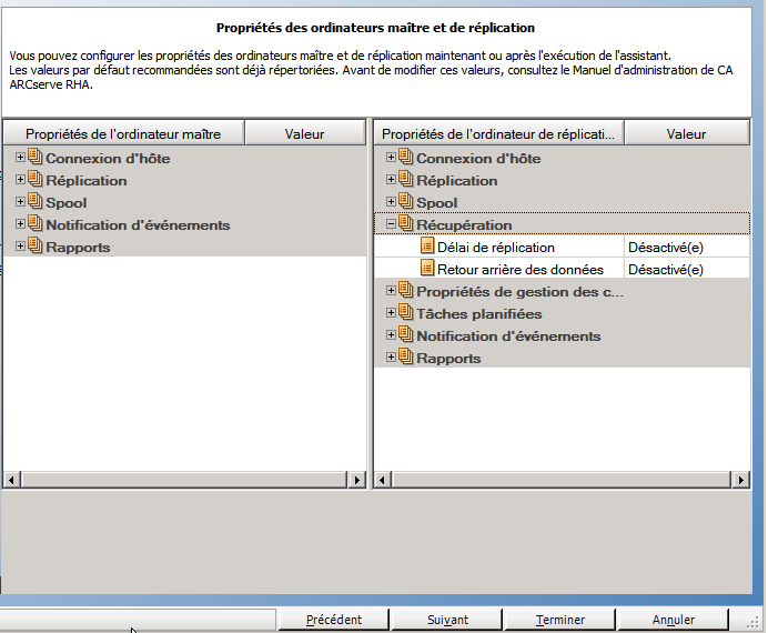 Propriétés des hôtes maître et de réplication