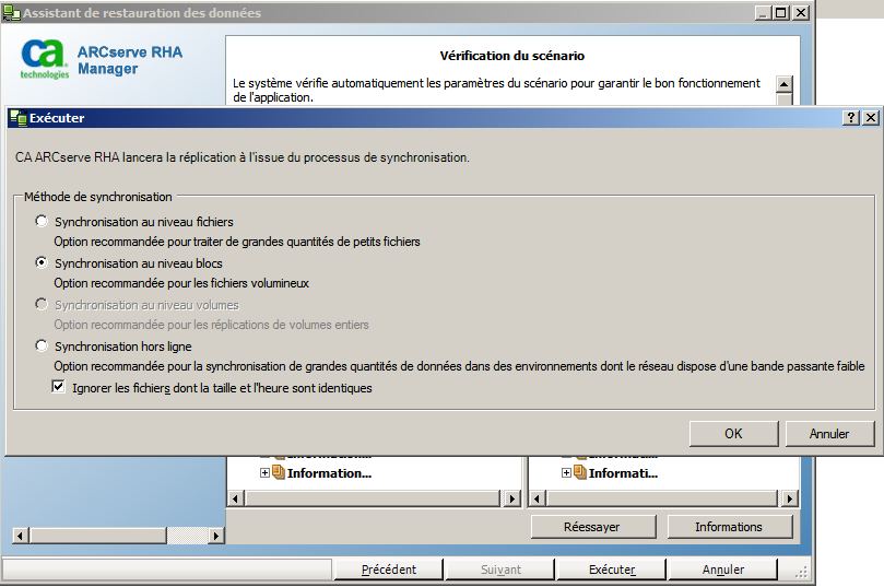 sélection de l'option Synchronisation hors ligne