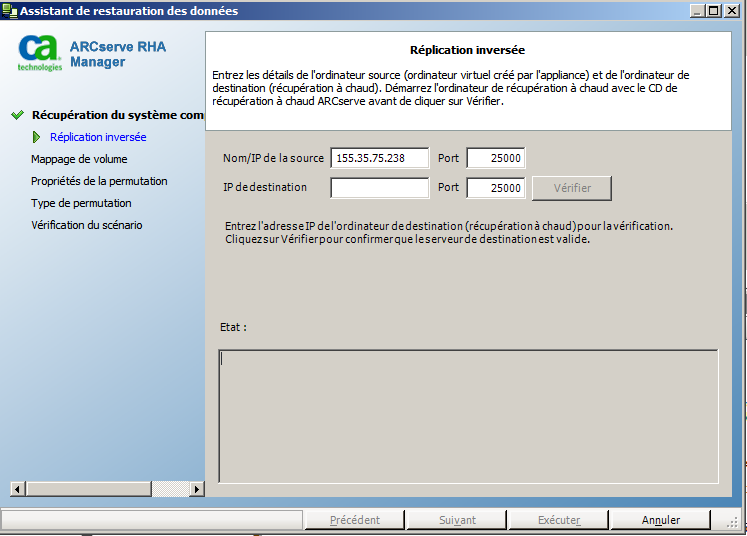 Réplication inversée