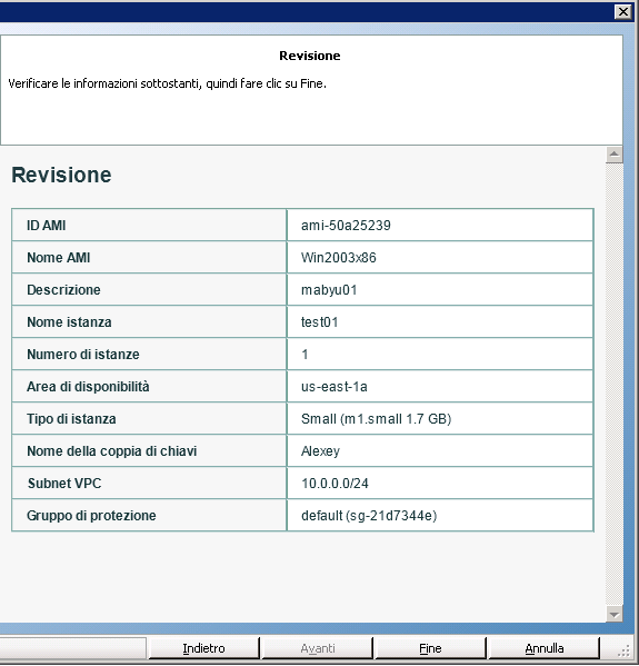 Verifica delle selezioni nella Procedura guidata di creazione istanza