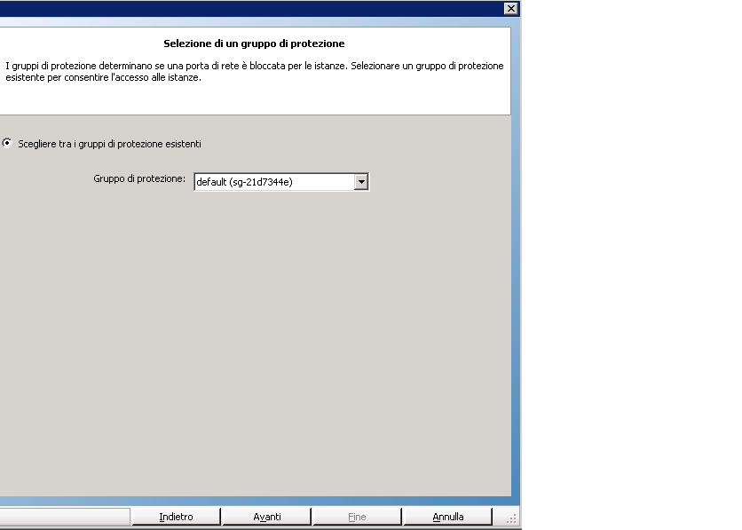 Gruppo di protezione nella procedura guidata di creazione delle istanze