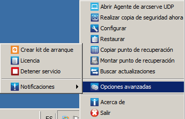 Iconos de la bandeja del controlador