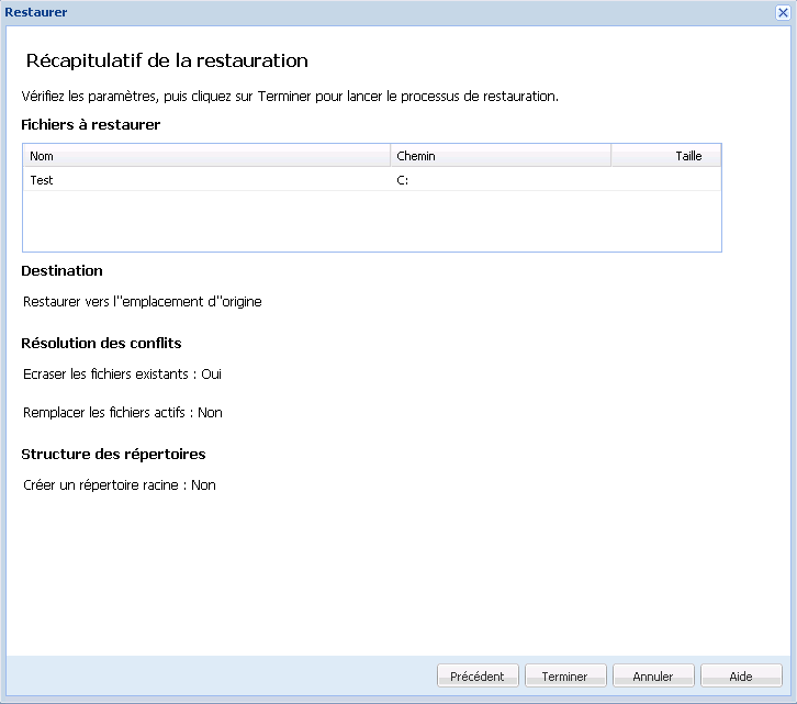 Ce diagramme illustre les options disponibles dans la boîte de dialogue Récapitulatif de la restauration.