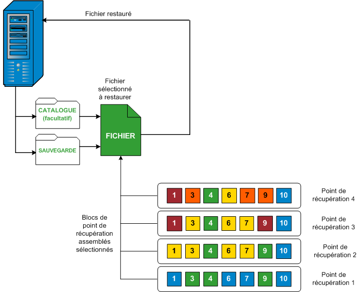 caaf--File Level Restore-W