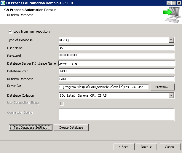 PAM Runtime Database