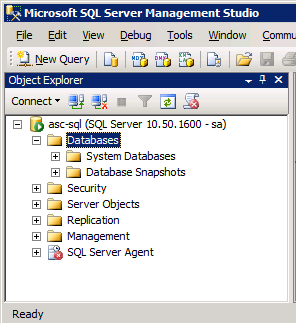 CA Business Intelligence MS SQL