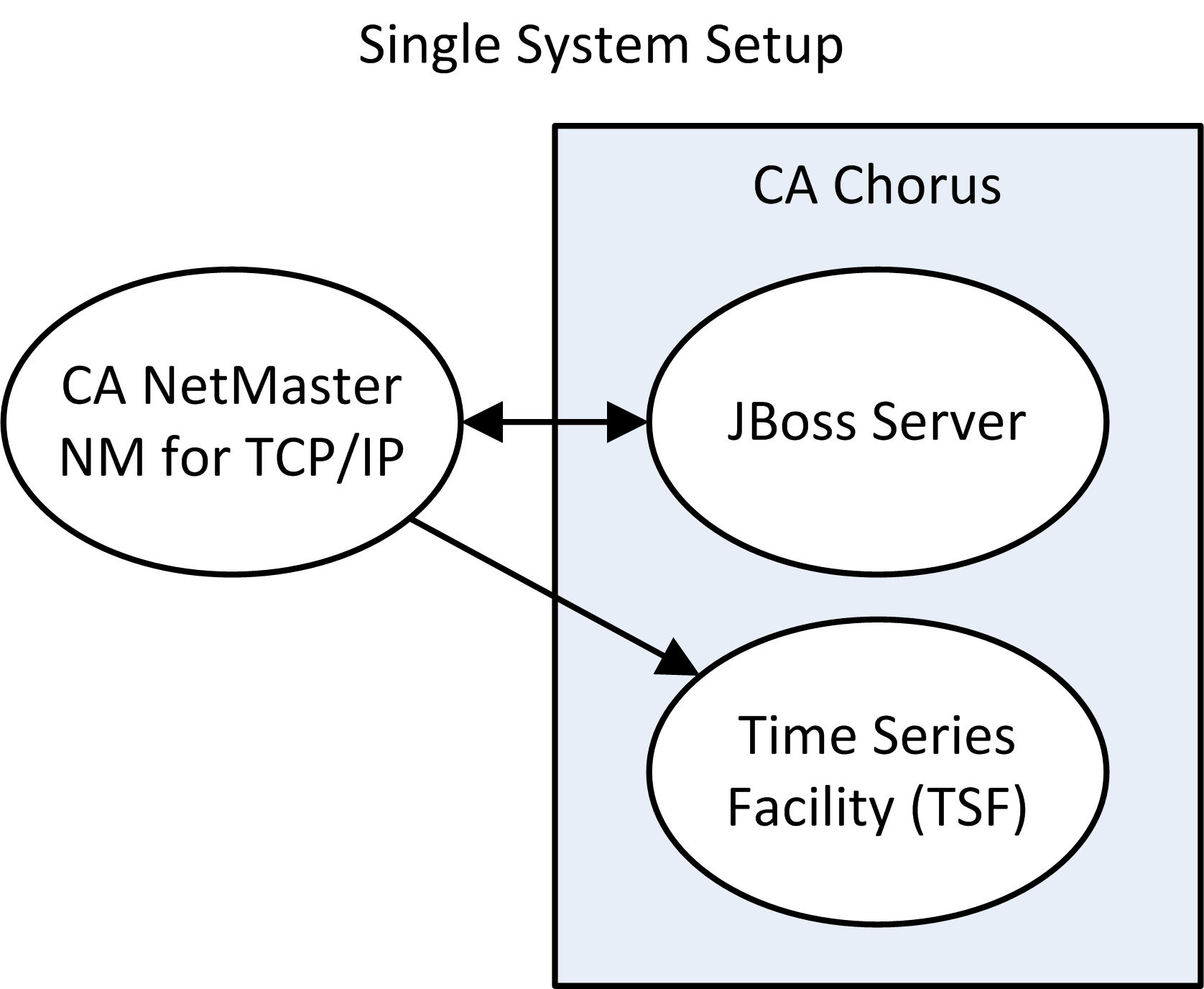This diagram shows the CA Chorus Infrastructure Management discipline setup with a single CA NetMaster NM for TCP/IP region.