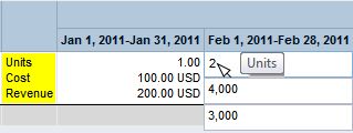Click the time period that you want to select and enter the values for Units, Cost, and Revenue.