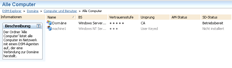 Screenshot mit Informationen zu Assets im Netzwerk mit einem DSM-Agenten, der eine Verbindung zur Domäne herstellt