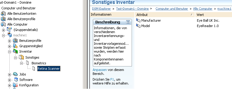 Screenshot des benutzerdefinierten Hardwareinventars