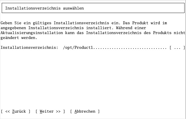 Beispiel-Screenshot eines VT100-Installationsdialogfelds