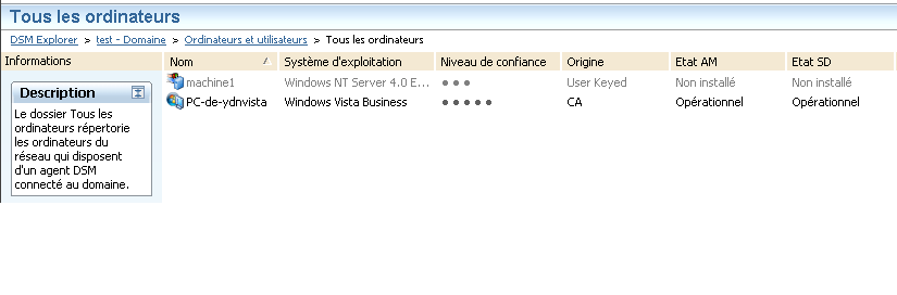 Capture d'écran indiquant les informations relatives aux actifs du réseau disposant d'un agent DSM qui se connecte au domaine