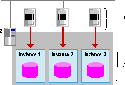 Separate Instance of SQLf or Each CMS