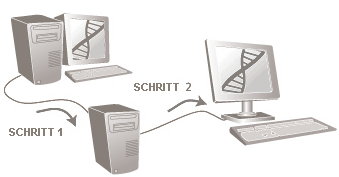 Abbildung einer Zwei-Phasen-Migration