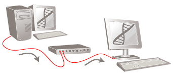 Illustration of a Real-time Migration