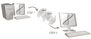 Illustration showing saving the DNA file to a removable media