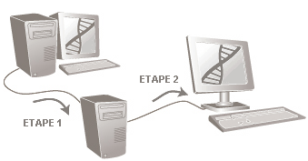 Illustration d'une migration différée