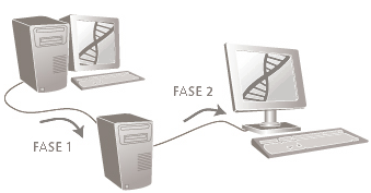 Figura di una migrazione rinviata
