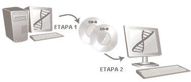 Ilustração mostrando o salvamento do arquivo DNA em uma mídia removível