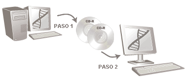La ilustración muestra cómo guardar un archivo DNA en un soporte extraíble