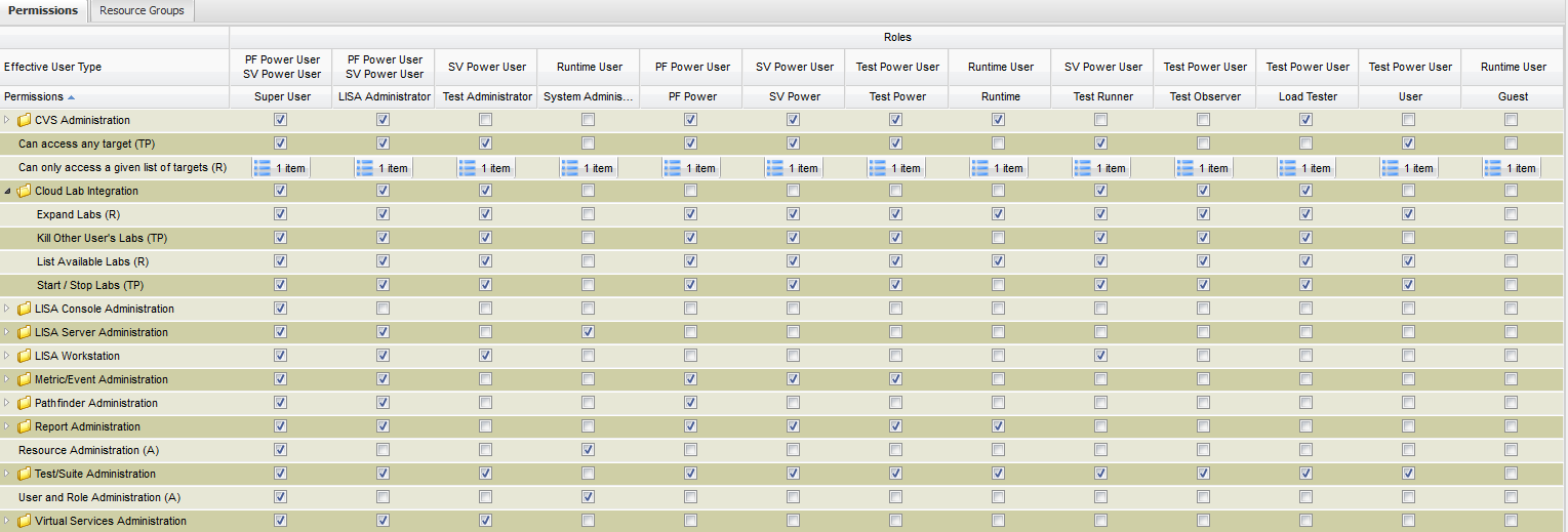 LISA Roles Grid that allows you to add roles, change the details for a role, and delete roles.