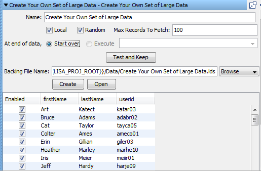Create Large Data Set window with data and all parameters specified
