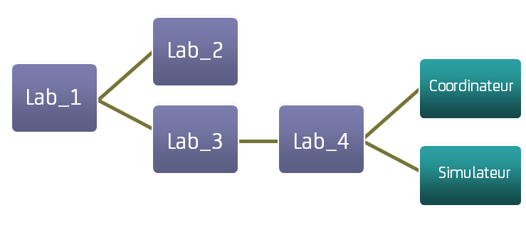 Diagramme conceptuel représentant la nature hiérarchique des laboratoires