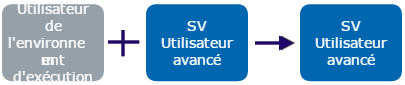 Le type SV Power User (Utilisateur avancé SV) est prioritaire par rapport au Runtime User (Utilisateur d'exécution).