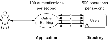 The application receives 100 authentication requests per second which results in  500 directory requests per second