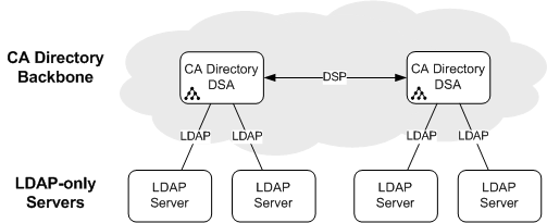 A backbone of DSAs, connecting to other applications and LDAP directories