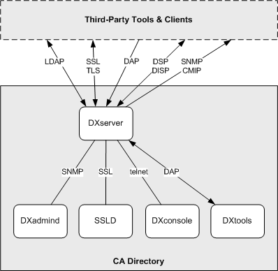 Diagram of Directory Protocols