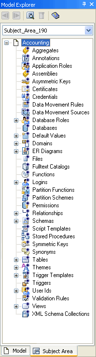 Model Explorer Subject Area View