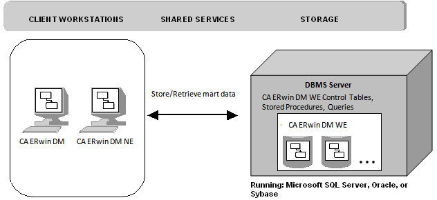 ERwin Data Modeler Workgroup Edition Environment