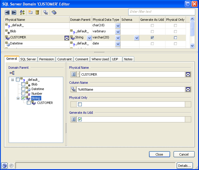Example of the Domain Editor in a Physical Model