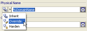 Override Domain Physical Name
