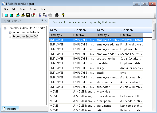 Illustrating the Entity Definition report