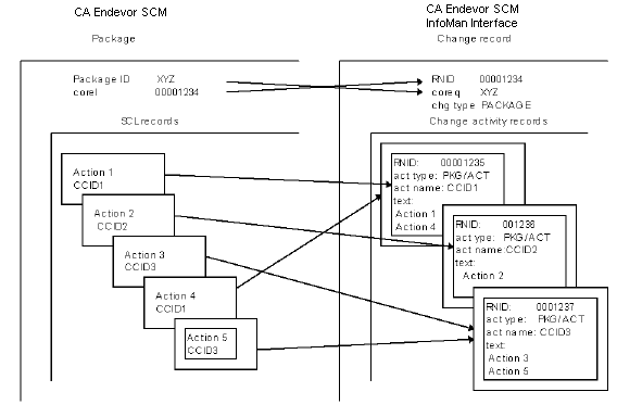 This diagram summarizes the package level of the CA SCM for Mainframe InfoMan Interface.