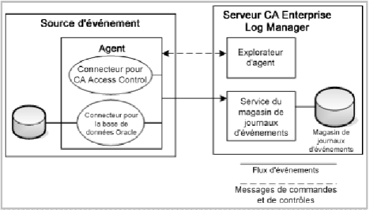 Ce diagramme illustre un agent installé sur une source d'événement dotée de plusieurs connecteurs, ainsi que la connexion de l'agent au magasin de journaux d'événements de CA Enterprise Log Manager.